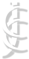 Country Club Johannesburg logo