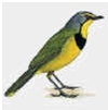 Delmas Bowling Club logo