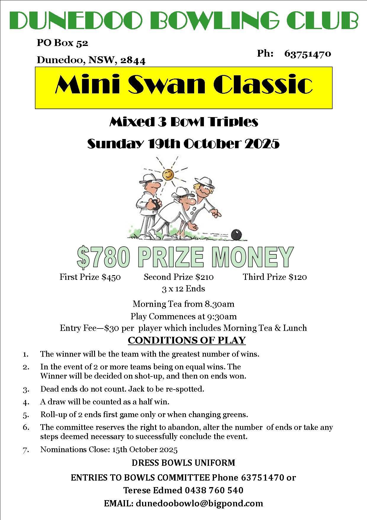 Mini Swan Classic flyer
