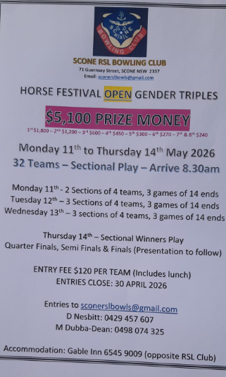 Horse Festival Open Gender Triples flyer