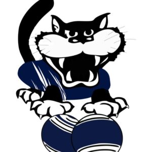 Wynyard Bowls & Community Club logo