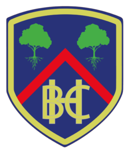 Hockley Lawn Bowls Club logo