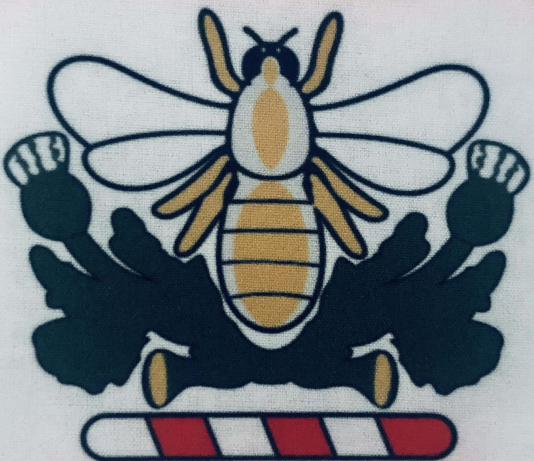 Briton Ferry Bowling Green logo